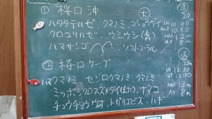 20220402ダイビングログ