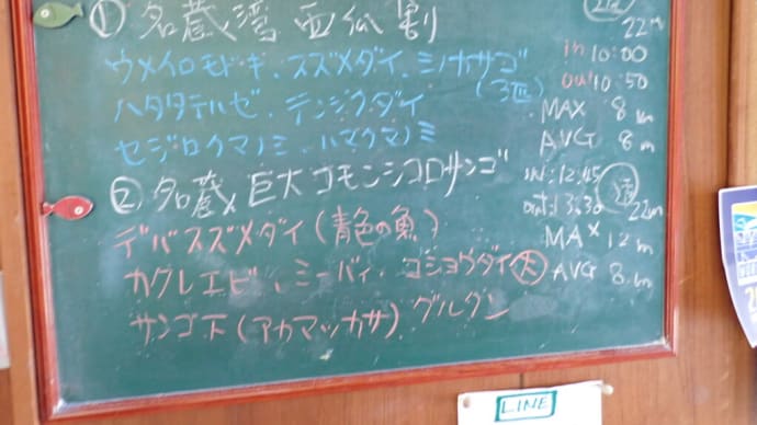 20250619ダイビングログ