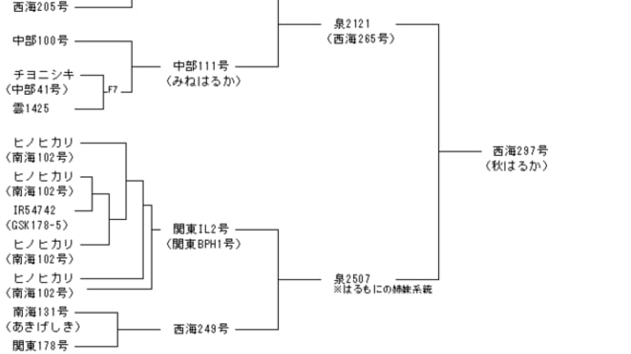 < お米 > お米の品種・銘柄 秋はるか