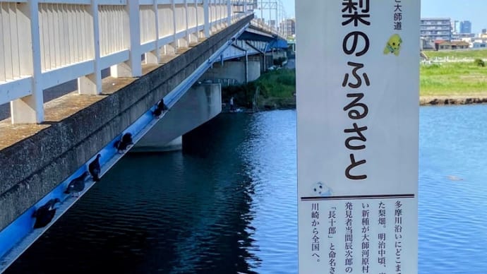 止め天神、六郷橋