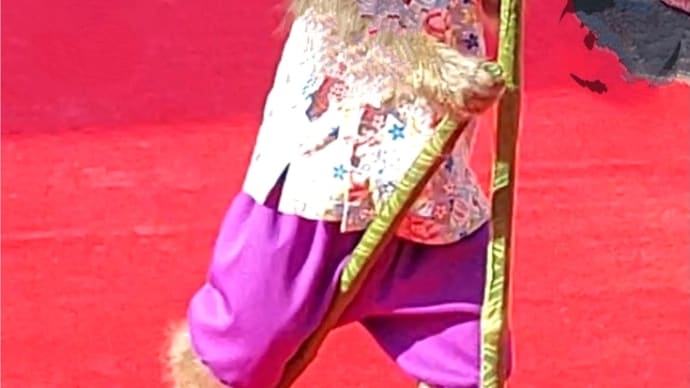 お猿の🐵あいちゃん超大技披露!🐒 ガラシャ祭2024年京都府長岡京市勝竜寺にて