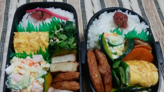 今日の弁当