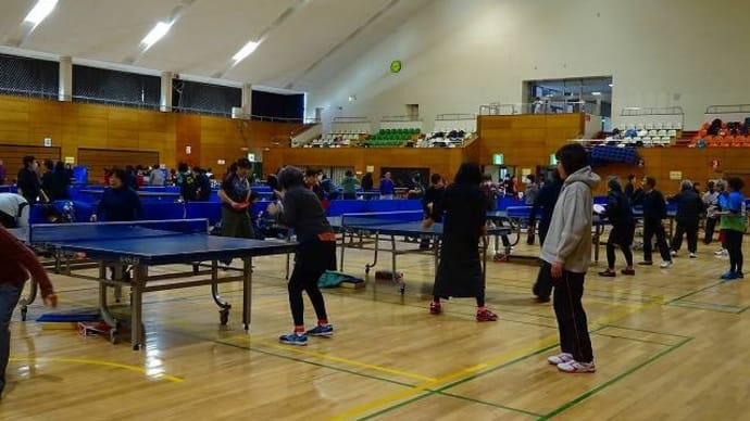 卓球・ダブルス戦 // プリムラ・シネンシス / ツワブキの綿毛