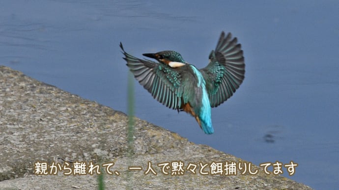 湿度が高くて暑かったぁ~