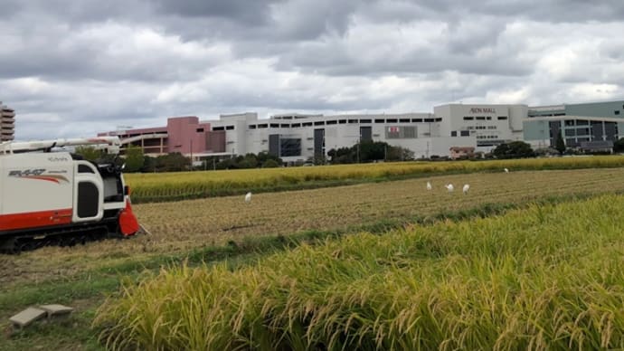 お知らせの変更です 筑紫野市原田 のりこキッズマム歯科医院