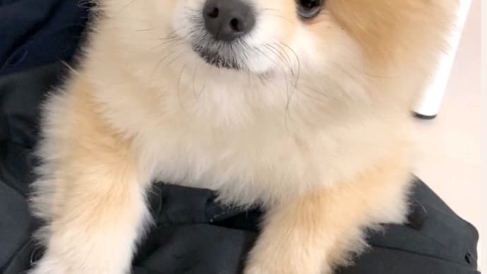 ☆よちよち〜(人´∀`*)☆