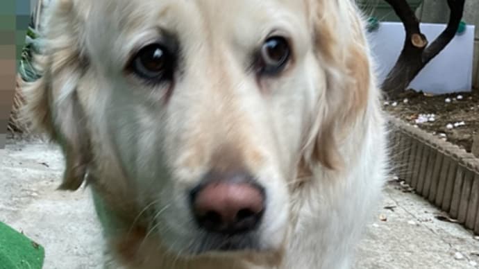 🐶健康診断🐶20210508