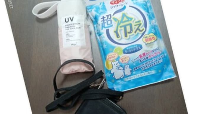 ♪ 関西万博の入場チケット購入を明日に控えて、今日から必携品を用意し始める