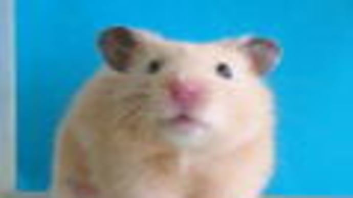 僕も暑さでへとへと?!