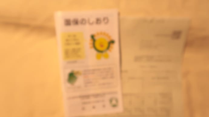 国民健康保険証の発行が北海道のたびの出発に間に合わないよ (2019/6/17)