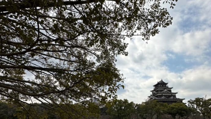 広島城のお堀の渡り鳥たち・・・もうそろそろ春の気配を感じているんでしょうか？北に向かって飛び立つ日も近いと思います