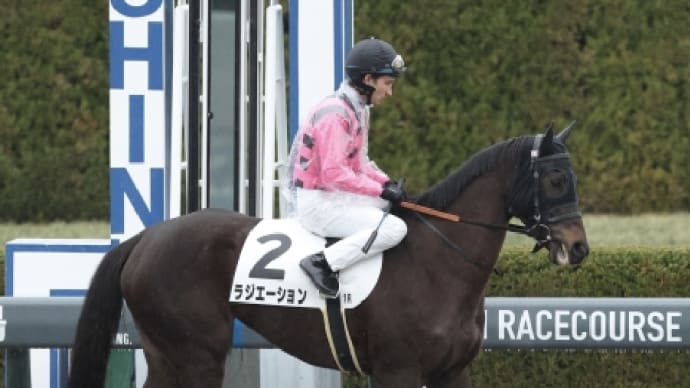 ラジエーションJRA地方交流競争優勝しました!!