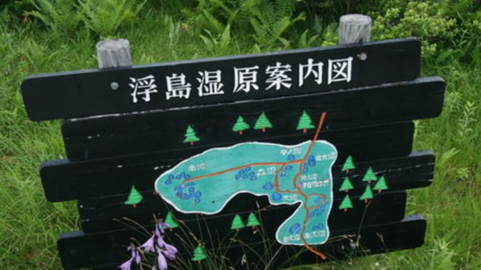 浮島湿原