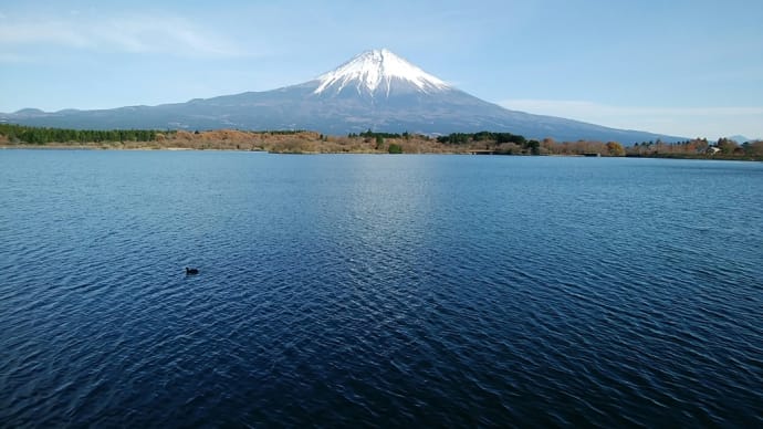 40年前のワープロが大活躍