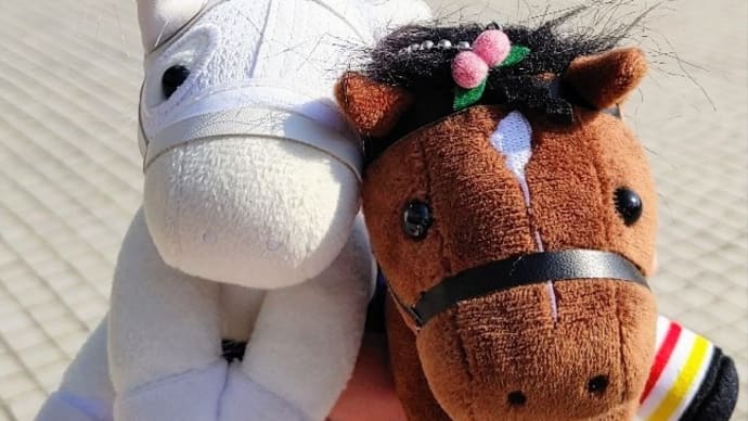 🐴おうまさん(23/10/29) カシオペアS,ルミエールAD,ペルセウスS,地方3重賞