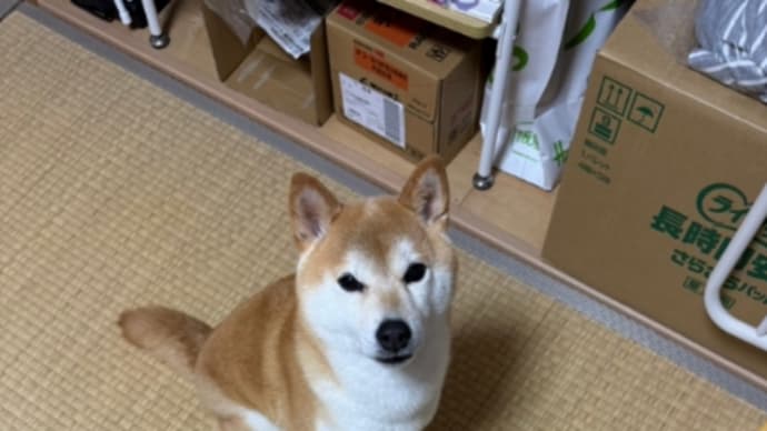 行動開始