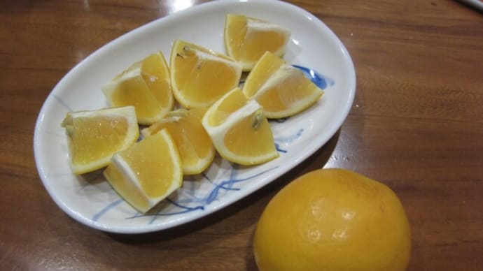 マイヤーレモン