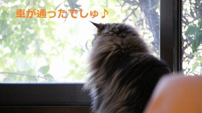見ている方が気になる~