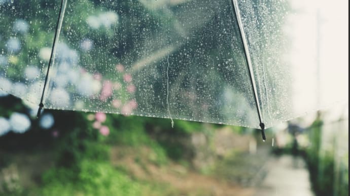 雨上がりのレインボー最高です!