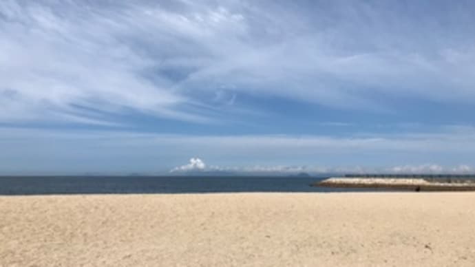 今日の海