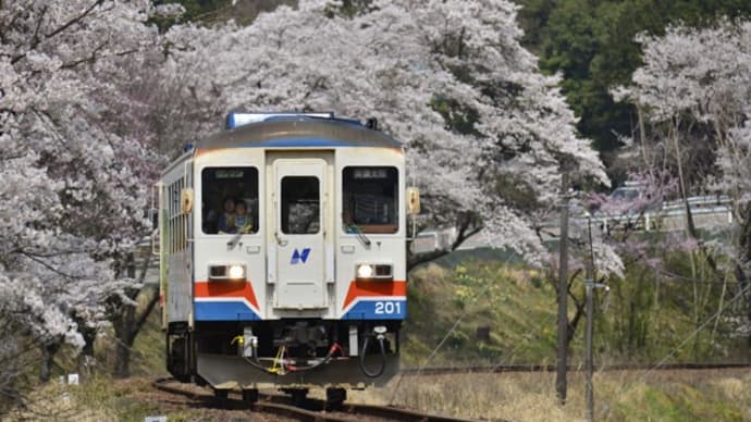 撮り鉄2018part4（長良川鉄道_越美南線 美並苅安－福野）