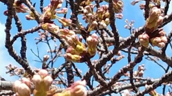 3月も終わり