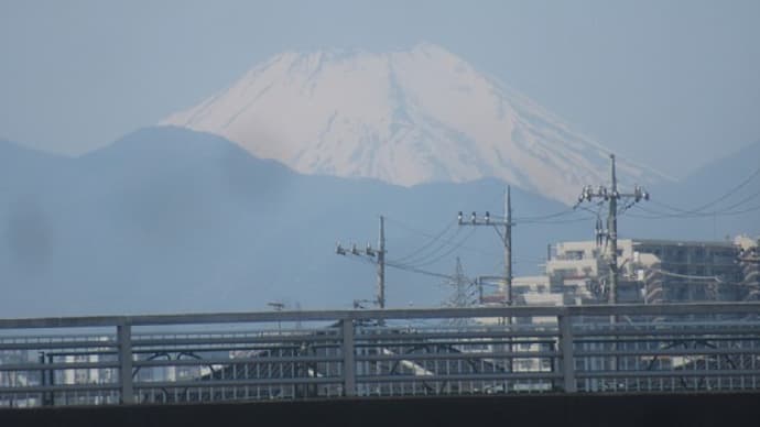 近場をのんびり散歩し地域活動も
