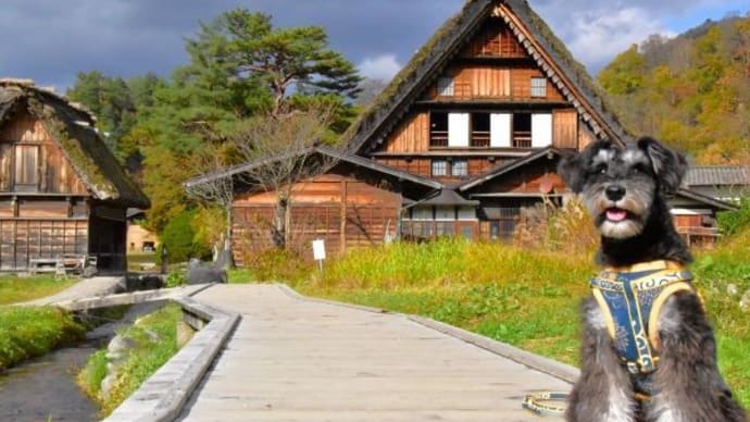 岐阜旅行・高山わんわんパラダイスホテルと白川郷