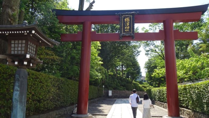 ５月は「つつじ」で賑わう根津神社！この時期に行くと又違い、千本鳥居が緑に映え印象的！