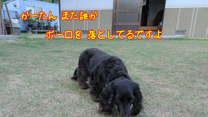 お庭で 量産?