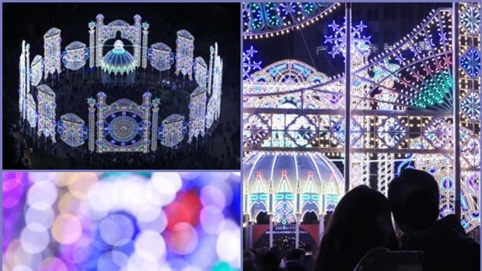 SNS発信の写真(2021年06月24日~07月29日)