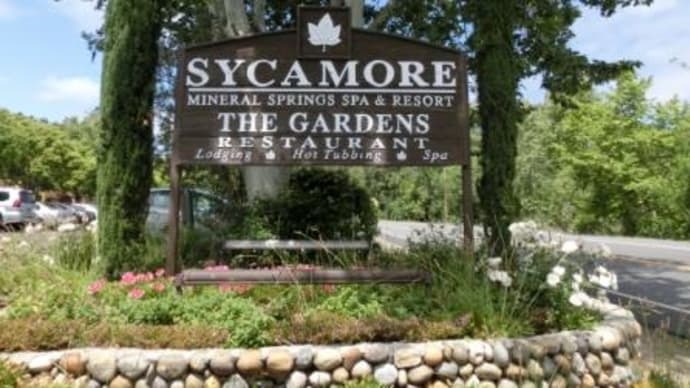 シカモア温泉・Sycamore Mineral Springs Resort