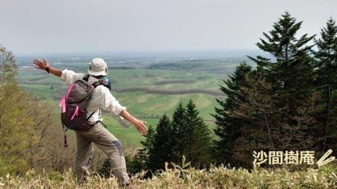 一等△當縁山&沙間樹庵…二等△パンケ山…ダニ付着ゼロ🐞快適ノルディックウォーキング👣