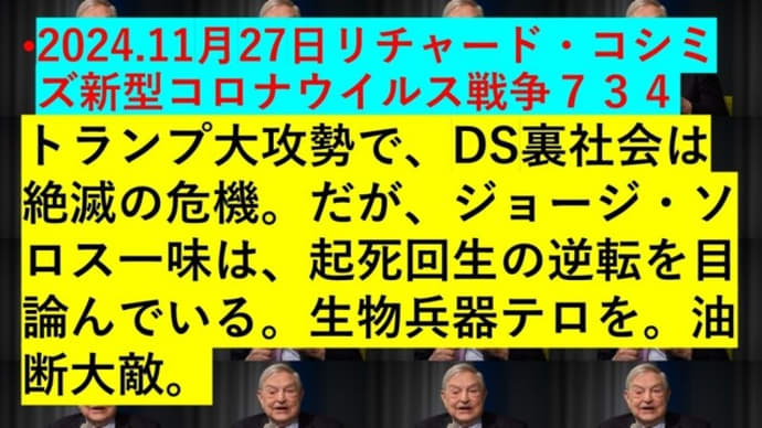 2024.11月27日リチャード・コシミズ新型コロナウイルス戦争734