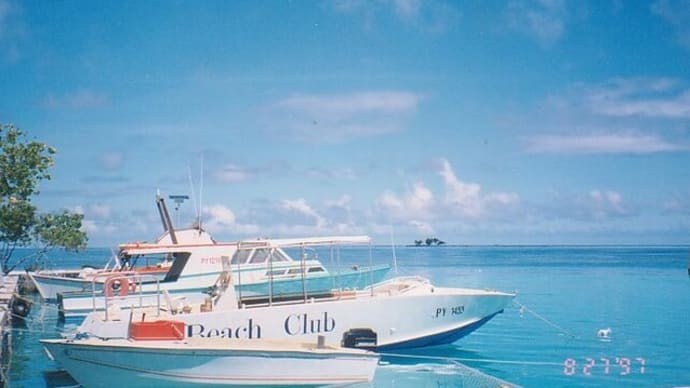 97ダイビング旅行,タヒチ(ランギロア,モーレア,カレイにコバンアジ・・⁉&チェルシーCL優勝っ!&ダービー,シャフリヤール勝利っ‼&エスパ,Mに負け&ドラゴン桜2,6話&鷲見玲奈,ピンチ⁉