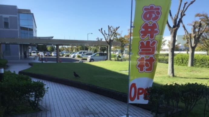 四国の田舎★明日はにわか雨と…梅さんに魔法の土作ったけれど時間切れ…ガァーン