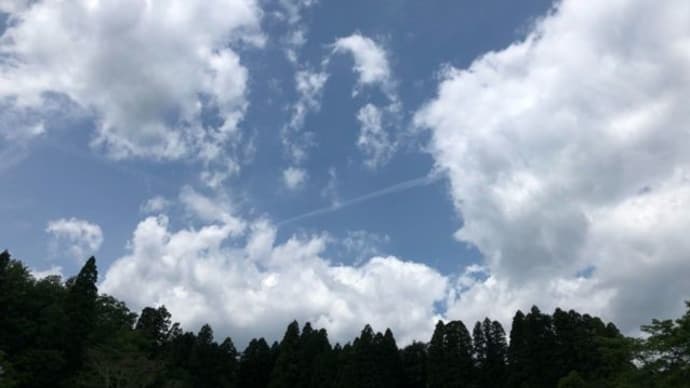 落ち度はなくても、、、