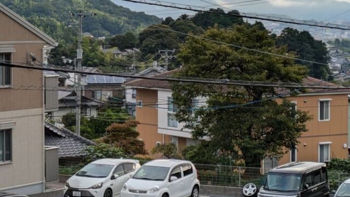 プレイアデスの言葉 ゴロゴロ鳴っても降りませんなぁ;