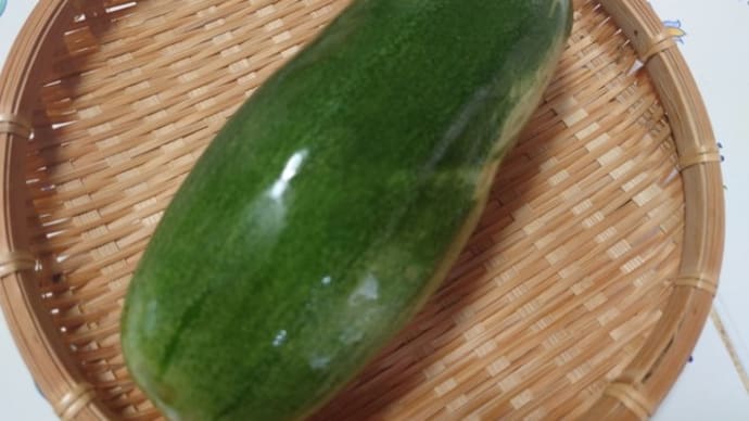 お久しぶりです、生のかりもり