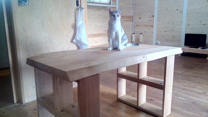 【ネコちゃんと一枚板テーブル】コンパクトサイズ、とちの一枚板テーブルをお客様のお宅へ。一枚板と木の家具の専門店エムズファニチャーです。