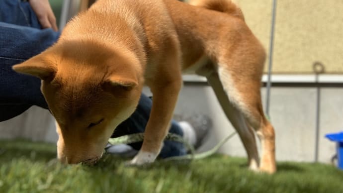 小さな庭でのんびり過ごす