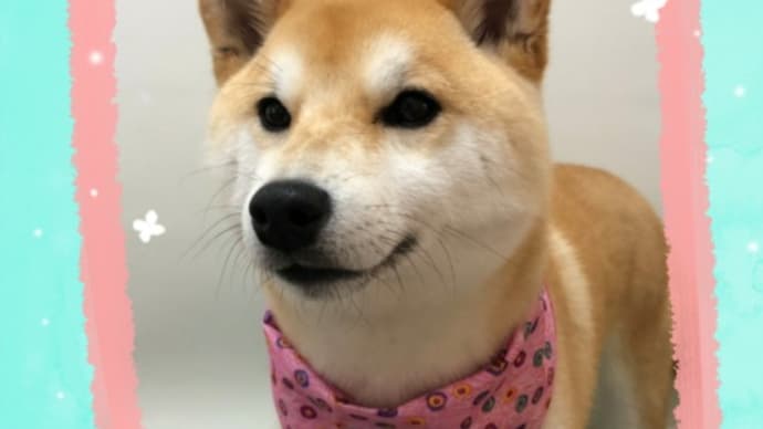 1日のお客様