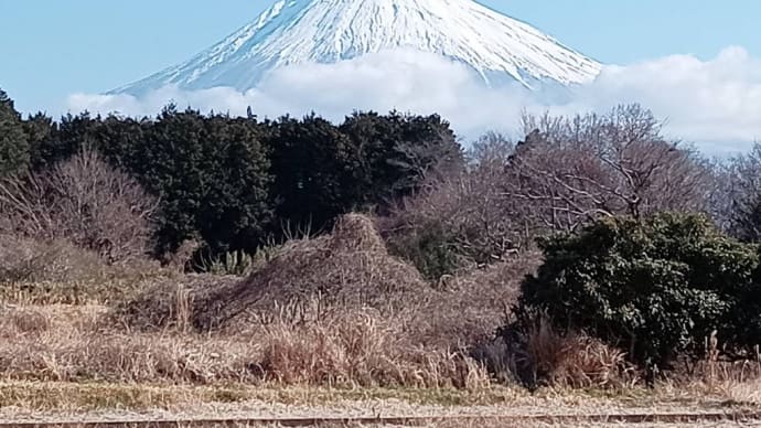 事前の対策を