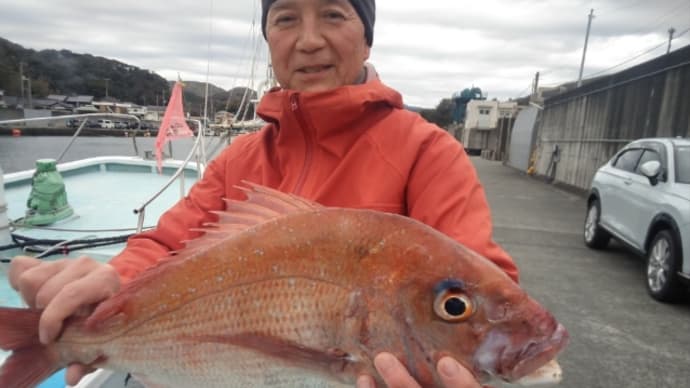1月27日マダイ、シマアジ釣りの釣果。