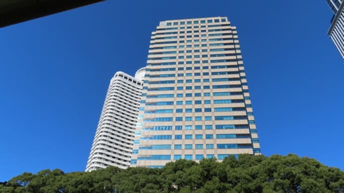 花散歩・冬晴れの日本庭園