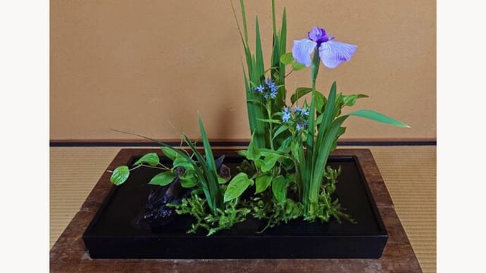 初夏の紫の花を頂く・其二│花信