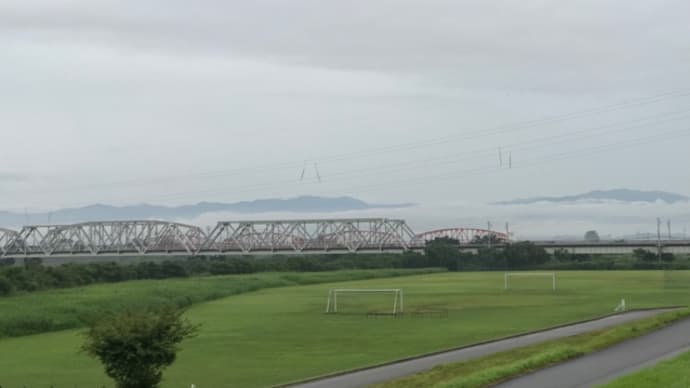 ど根性草から学んだ