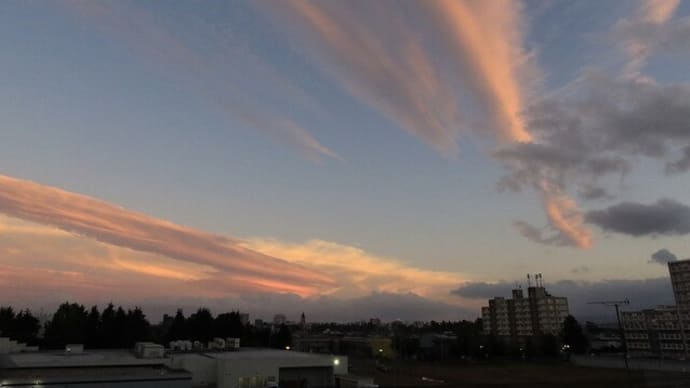 夕暮れ時の空 ＆野の実
