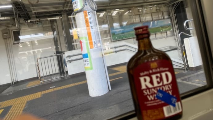 ジンベイザメを見た