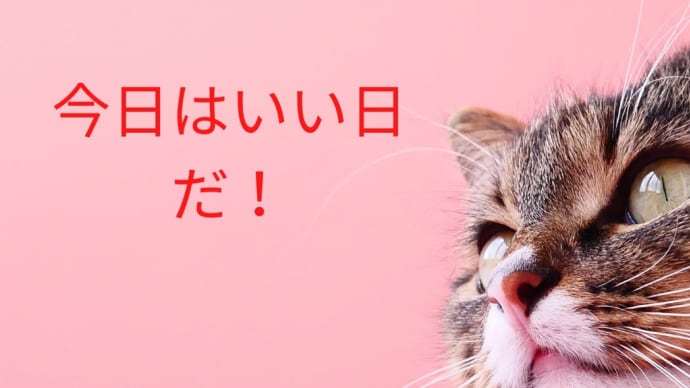 おはようございます💝💝💝